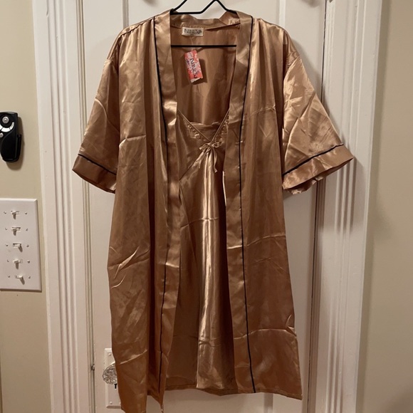 Silky golden Teddy XL/ XXL - Picture 12 of 14